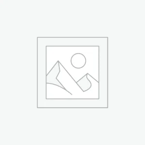 Virtual Auction by Rehan (Copy)